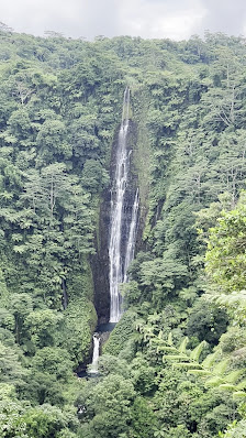 Photo 3 de Papapapaitai Falls