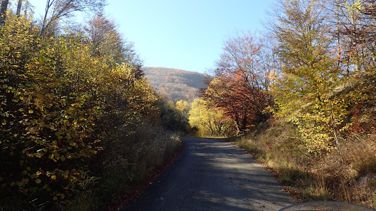 Photo 2 de Monte Montagnaga