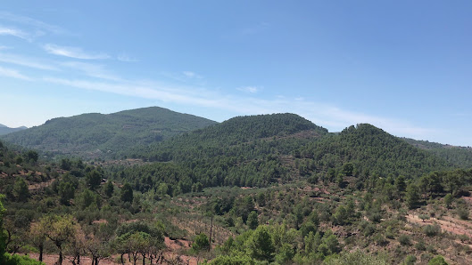 Photo 3 de Alto de Chirivilla