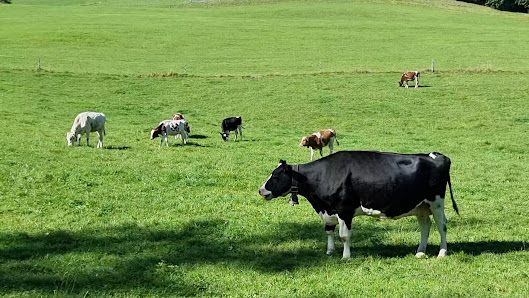 Photo 3 de Rüeggisberg