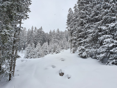 Photo 2 de Venet-Süd-Talstation