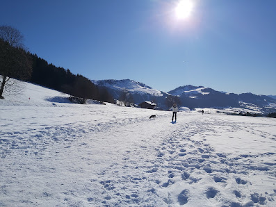 Photo 2 de Col des Moises