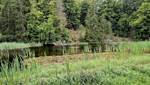 Photo 2 de Hoher Meißner