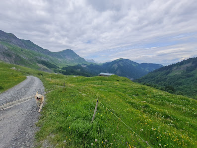 Photo 1 de Col de l'Arpettaz