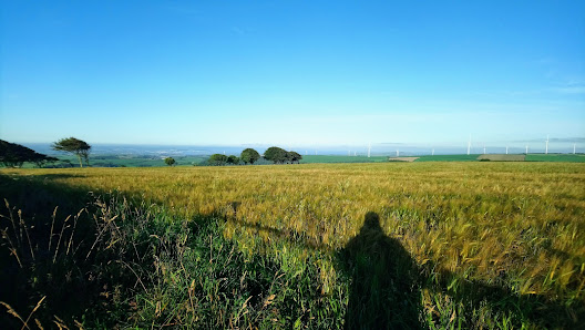 Photo 1 de Whitefield Hill