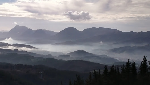 Photo 3 de Bizkargi