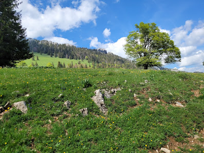 Photo 2 de Col de l'Aiguillon