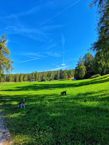 Photo 1 de Regole di Malosco