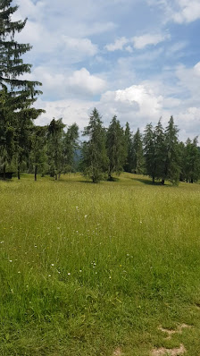 Photo 3 de Regole di Malosco