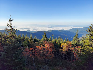 Photo 1 de Newfound Gap