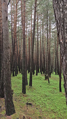 Photo 3 de Col de la Rabassa