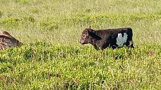 Photo 3 de Col de Portel