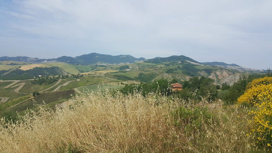 Photo 1 de Sassoleone