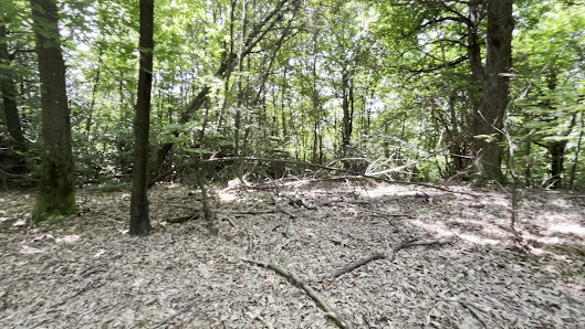 Photo 3 de Sette Termini