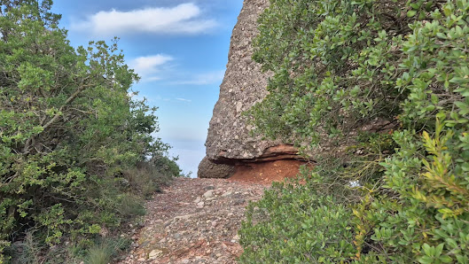 Photo 3 de Coll de l'Obac