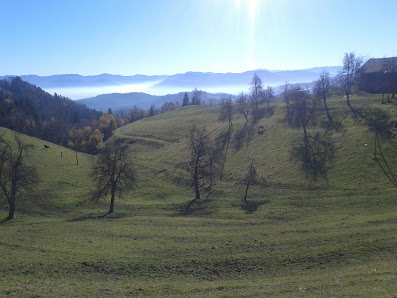 Photo 2 de Samatorica