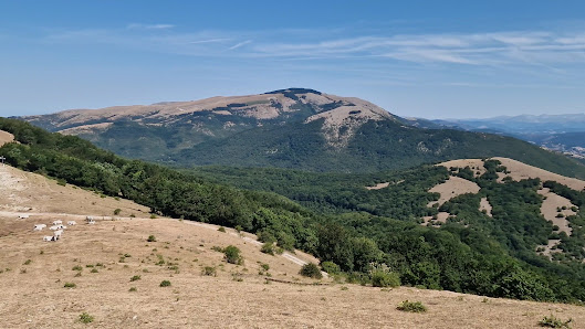Photo 3 de Colle Bertone