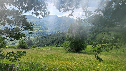 Photo 1 de Fresnidiello