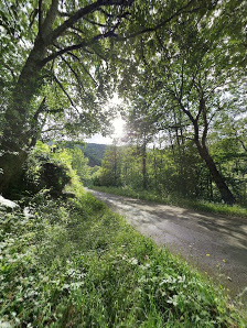 Photo 2 de Yernes