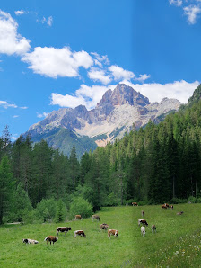 Photo 1 de Cimabanche