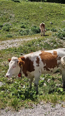 Photo 3 de Cimabanche