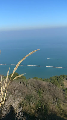 Photo 3 de Monte San Bartolo
