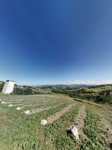 Photo 2 de Baiso