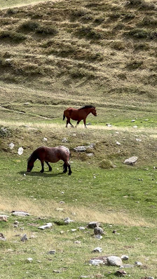 Photo 2 de Port de la Bonaigua
