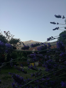 Photo 1 de Pratiglione