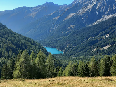 Photo 2 de Passo Stalle