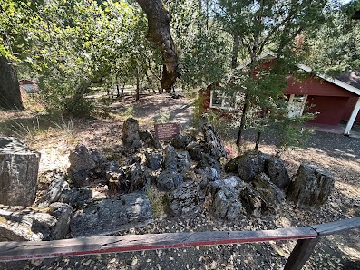 Photo 2 de Petrified Forest