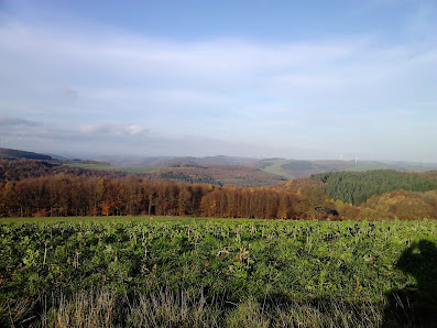 Photo 1 de Föckelberg