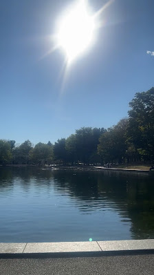 Photo 2 de Mont Royal