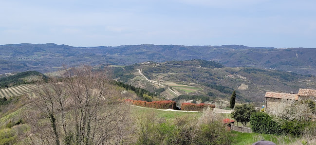 Photo 1 de Grimalda
