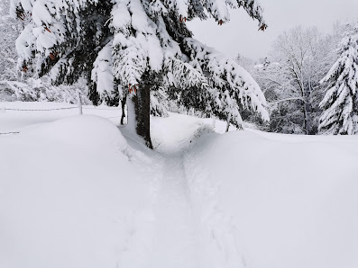 Photo 2 de Col du Haut de Fouchure