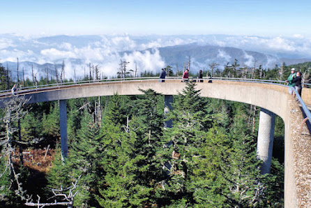 Photo 1 de Clingmans Dome
