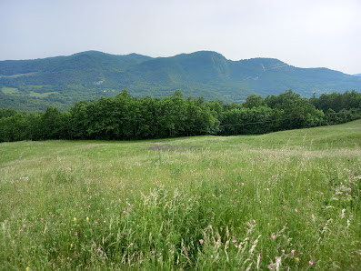 Photo 2 de Groppo Ducale