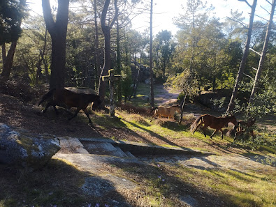 Photo 2 de Monte Aloia (San Fins)