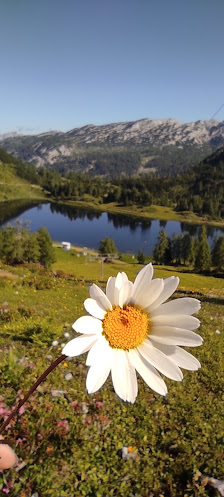Photo 2 de Tauplitzalm