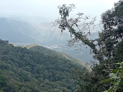 Photo 1 de La Cumbre Choroni