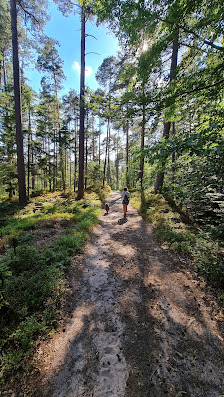 Photo 1 de Col du Haut de Ribeauville