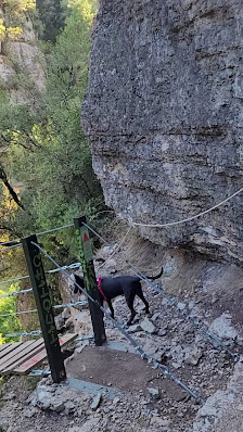 Photo 3 de El Pinetell