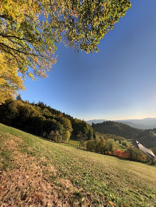 Photo 2 de Sohlberg