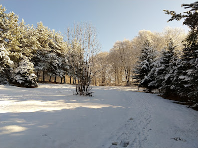 Photo 1 de Col du Chioula
