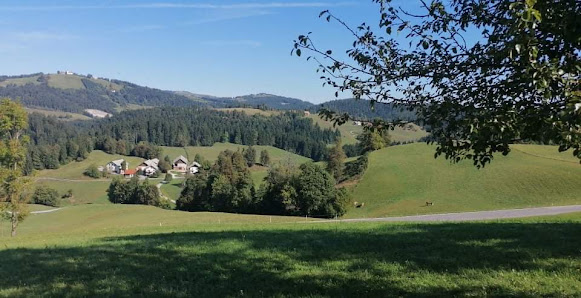 Photo 2 de Rovte