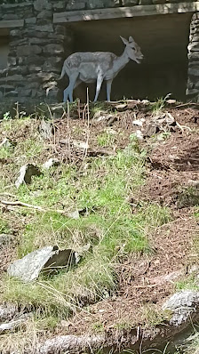 Photo 2 de Parc du Merlet