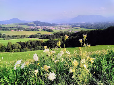 Photo 1 de Haunsberg