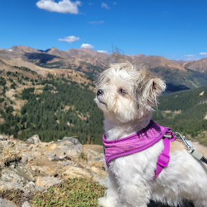 Photo 2 de Loveland Pass