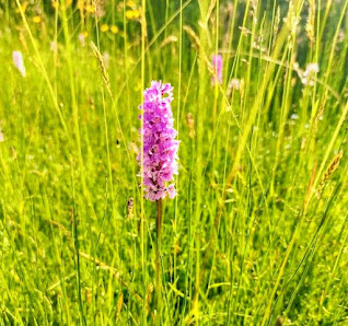 Photo 1 de Sattelpass