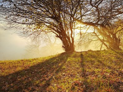 Photo 1 de Fontaneizer